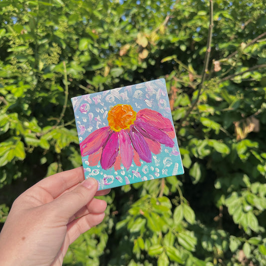 XO - Coneflower